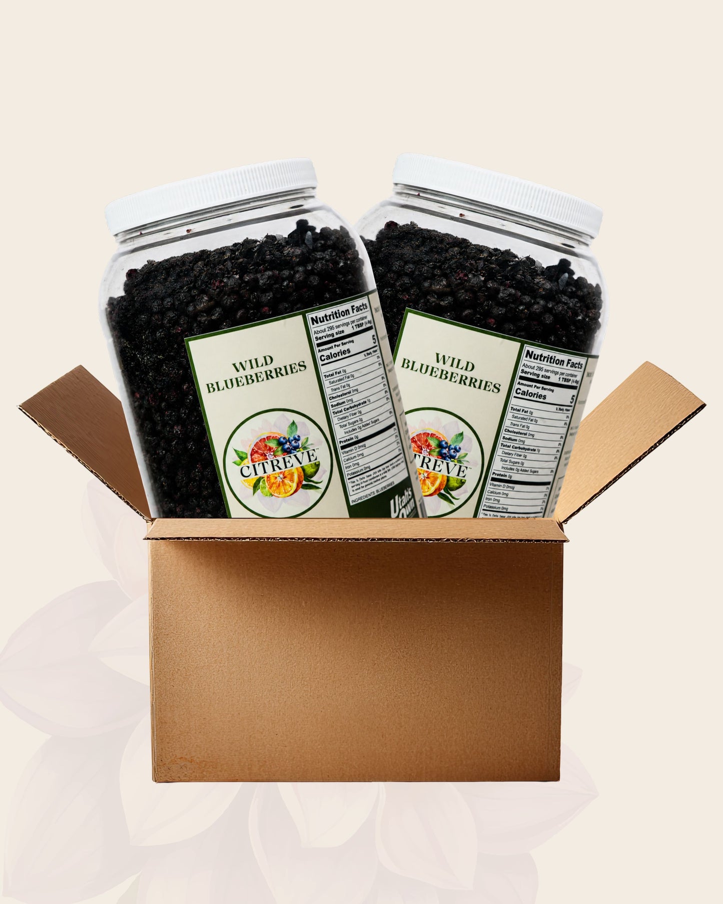 Bulk Case: 2 Bulk Jars - FD Wild Blueberries