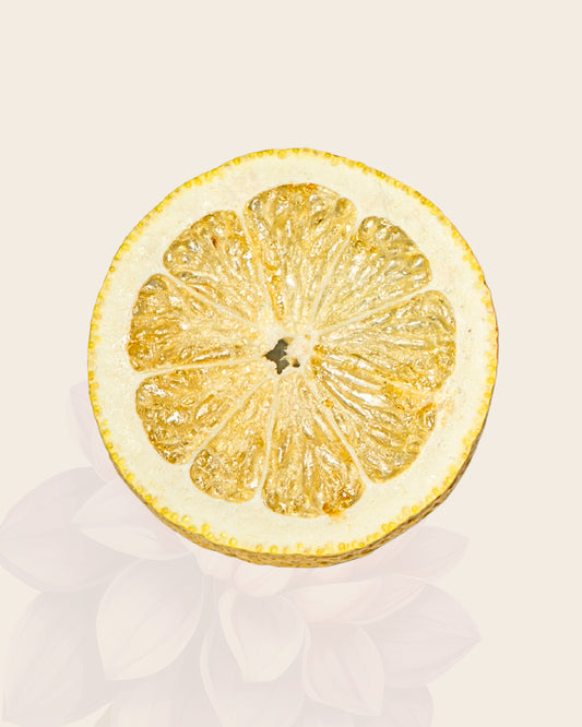 Tasting Size - Freeze-Dried Lemon Slices