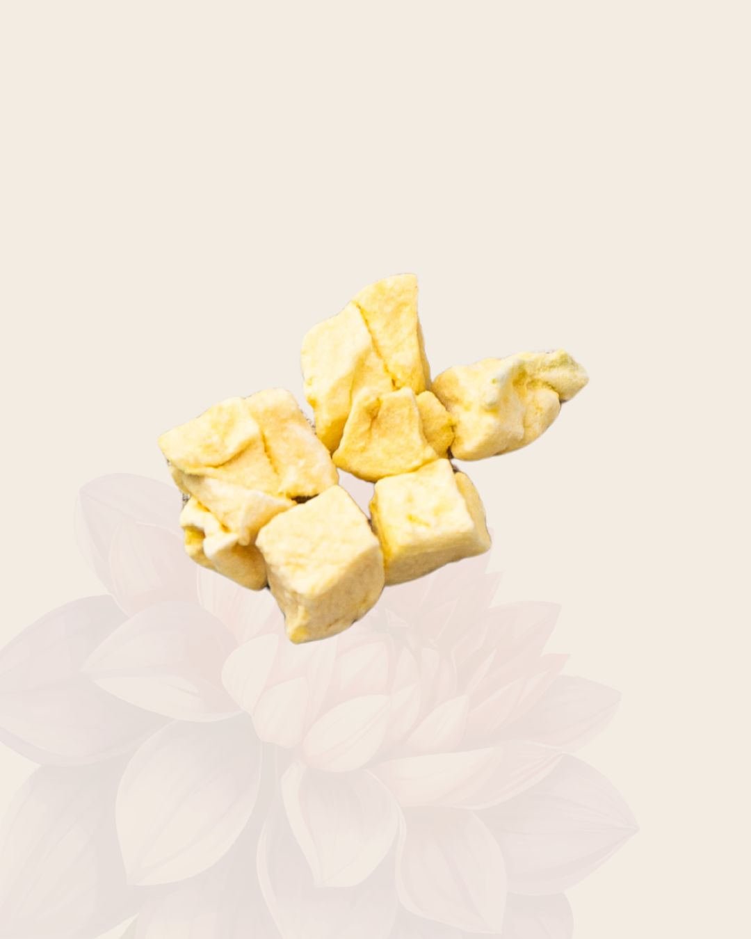 Freeze Dried Mango Cubes