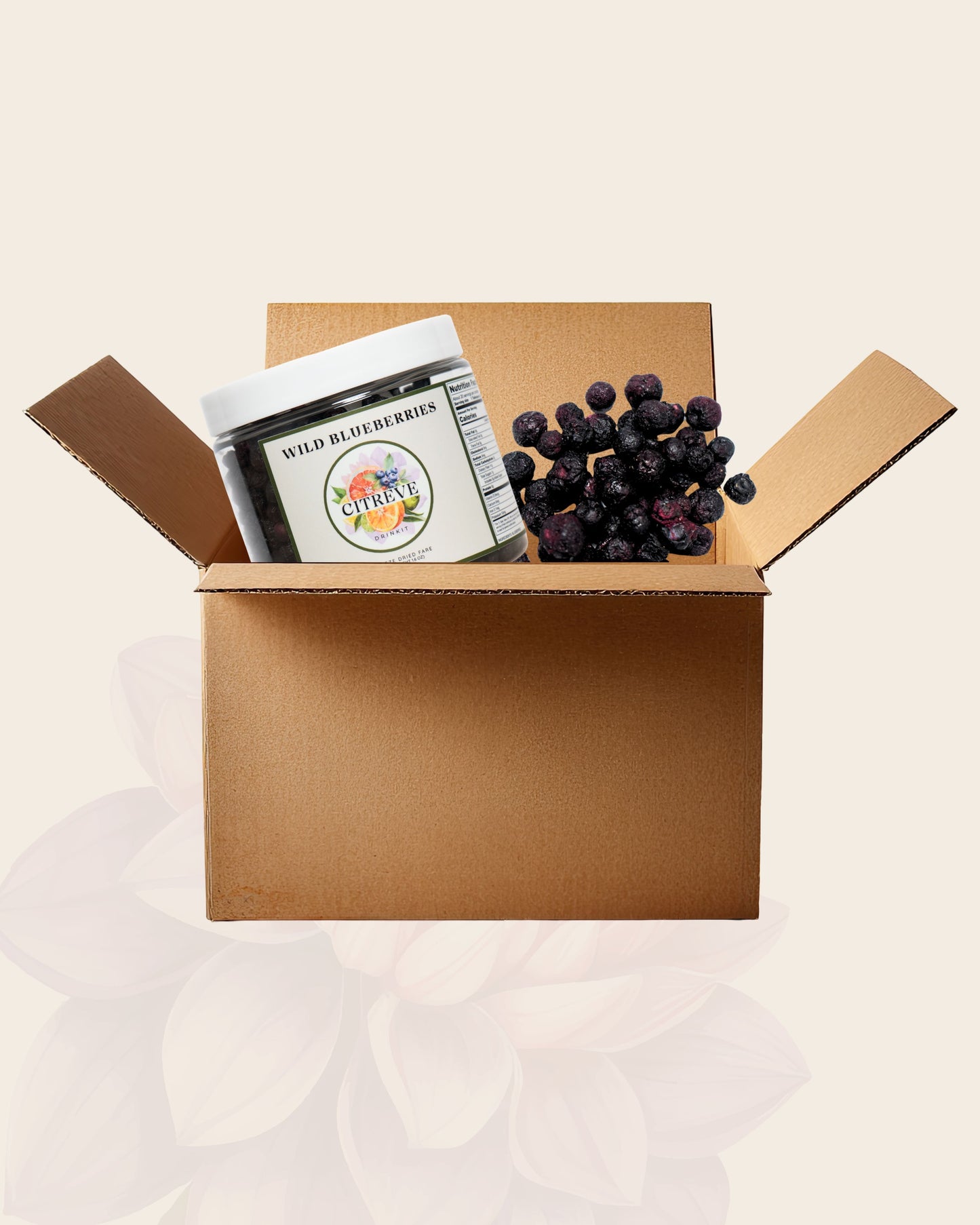 Tasting Case - Freeze-Dried Wild Blueberries