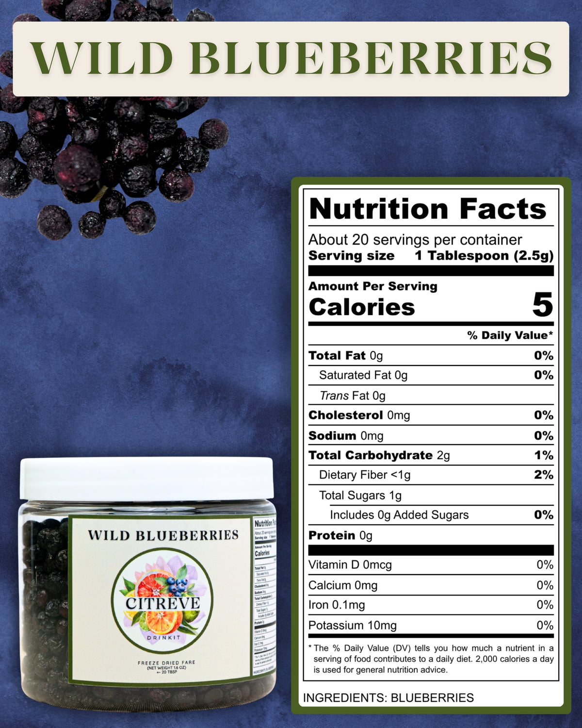 Tasting Size - Freeze-Dried Wild Blueberries