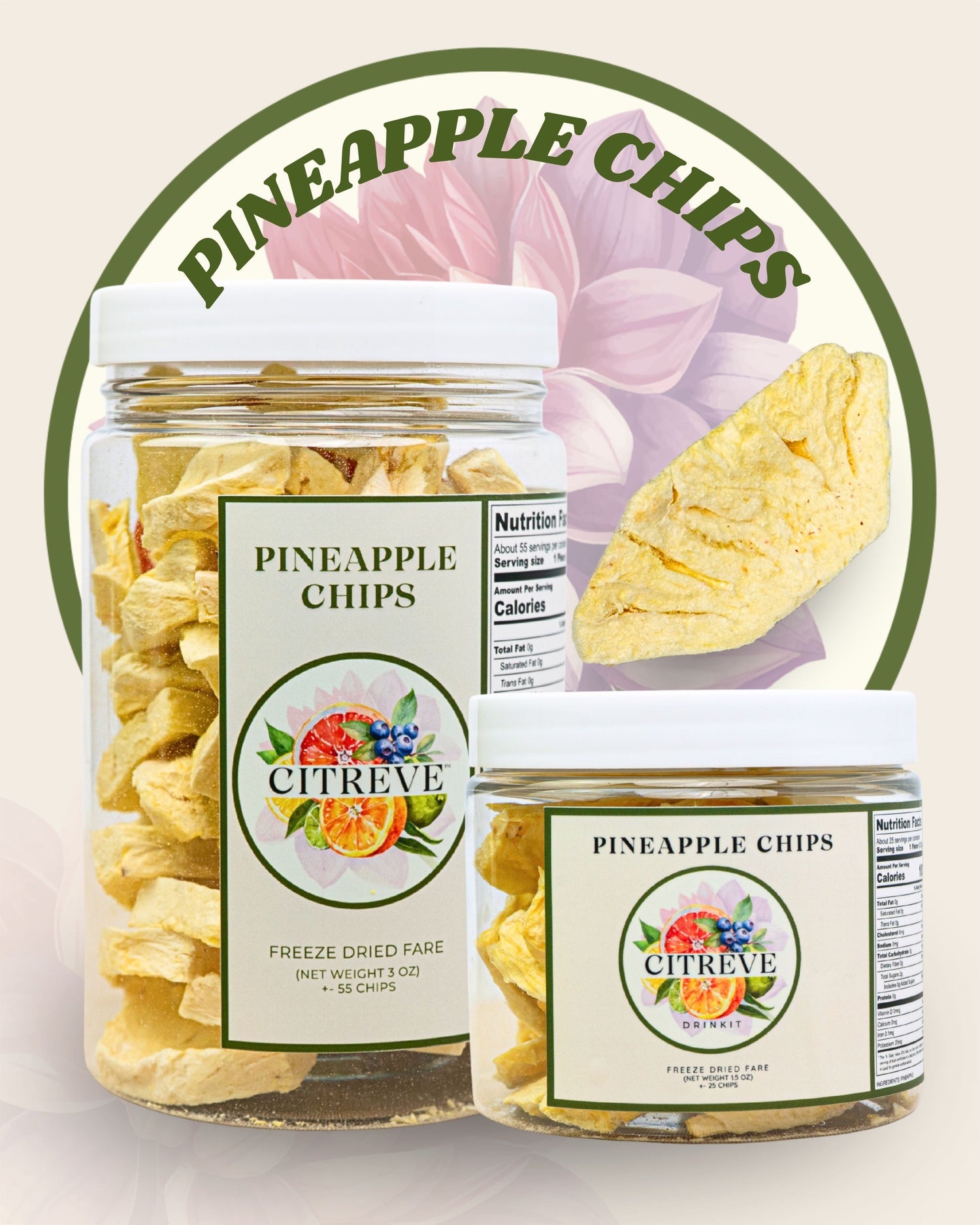 Freeze Dried Pineapple Chips