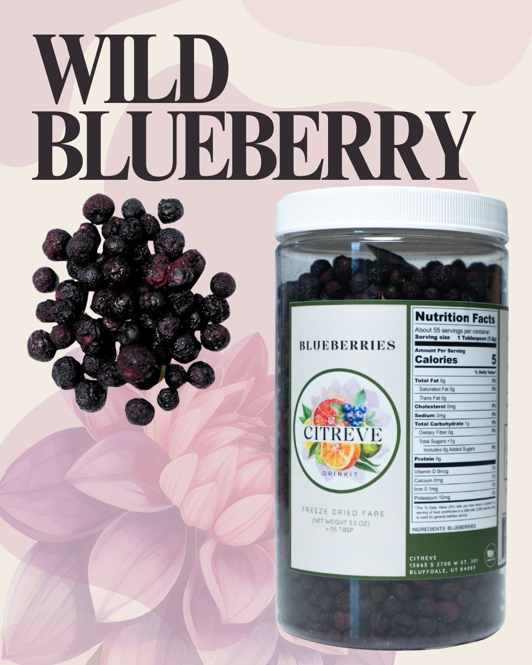 Freeze-Dried Wild Blueberries