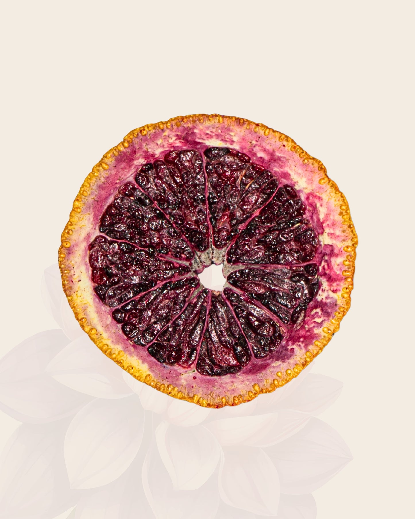 Case- Freeze Dried Blood Orange Slices