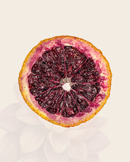 Tasting Case - Freeze-Dried Blood Orange Slices