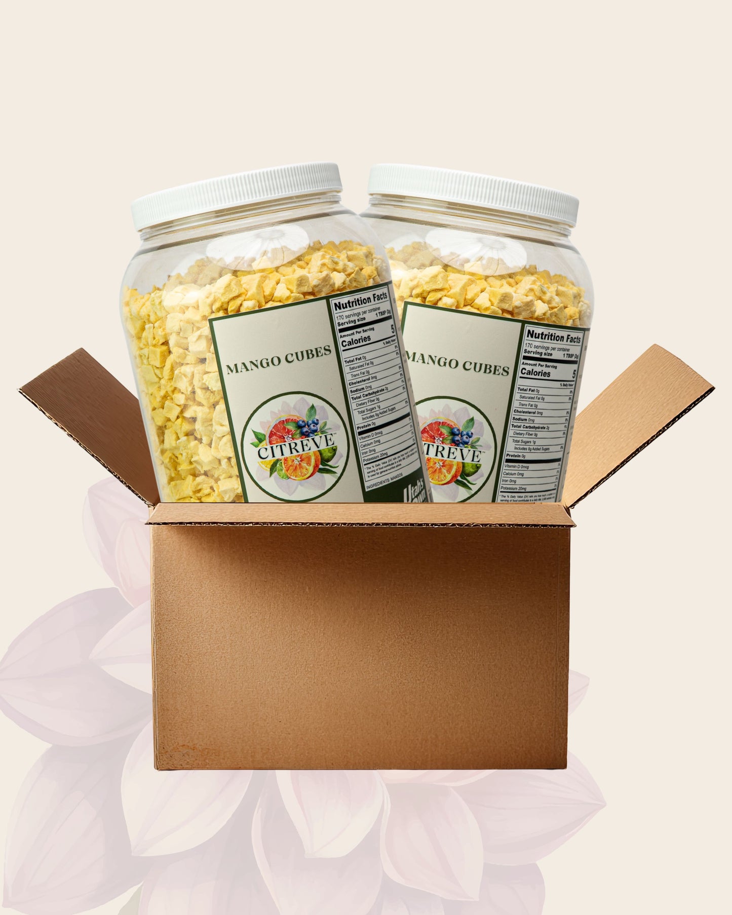 Bulk Case: 2 Bulk Jars - FD Mango Cubes