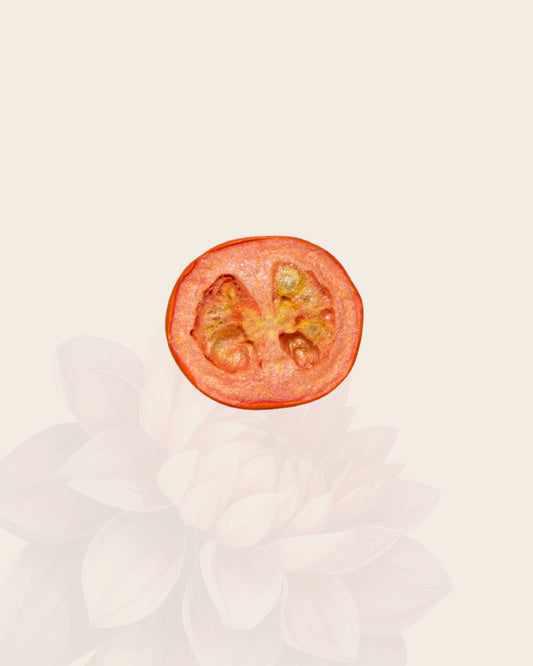 Tasting Case - Freeze-Dried Cherry Tomatoes