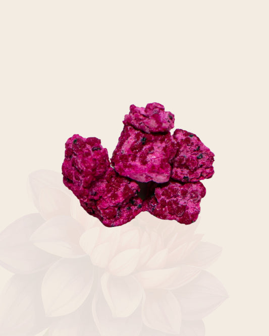Tasting Size- Freeze-Dried Dragon Fruit Cubes