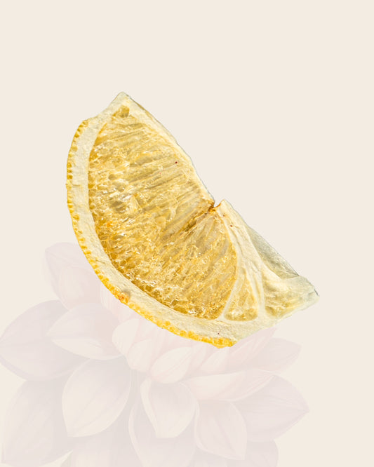 Tasting Case - Freeze-Dried Lemon Wedges