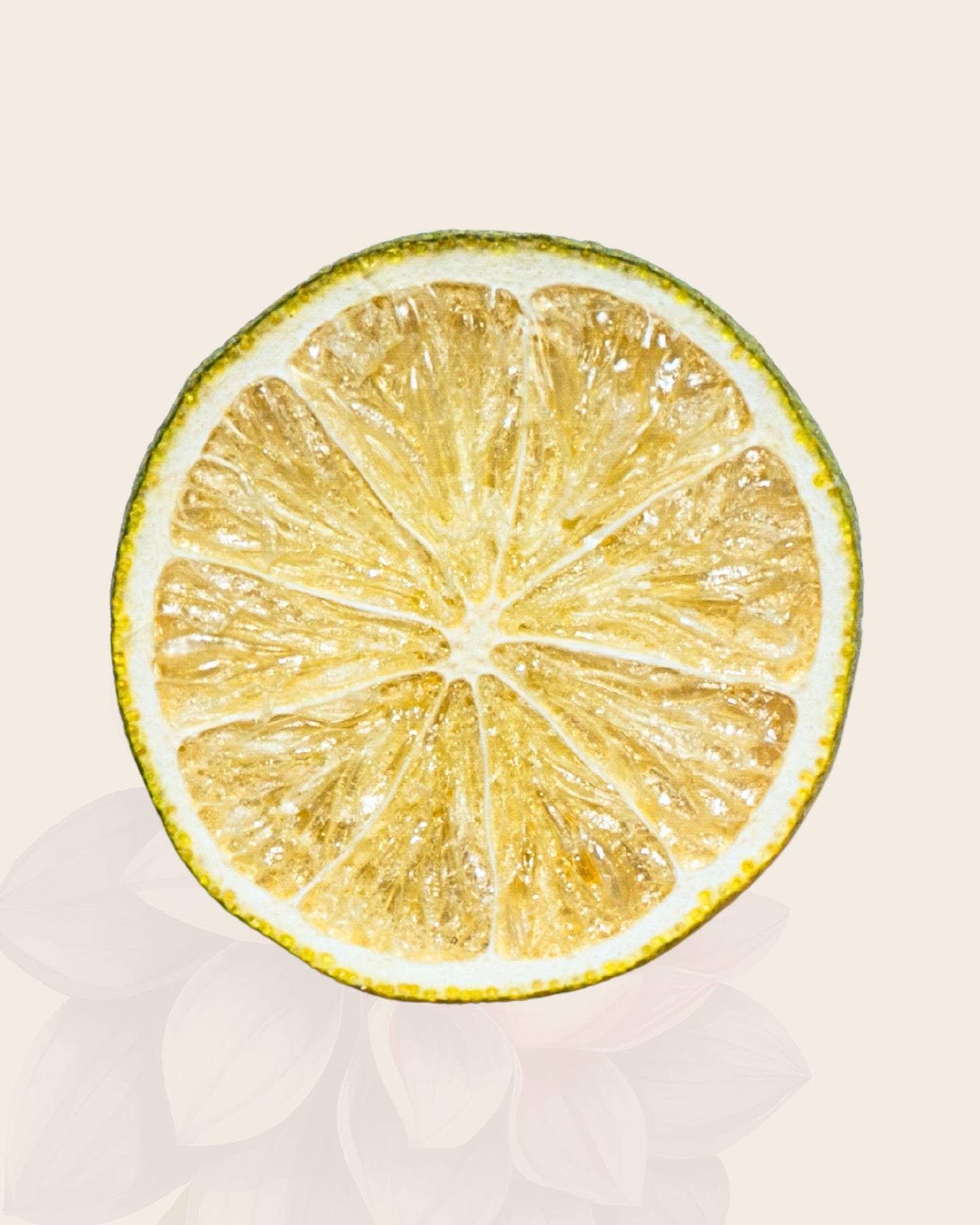 Freeze-Dried Lime Slices