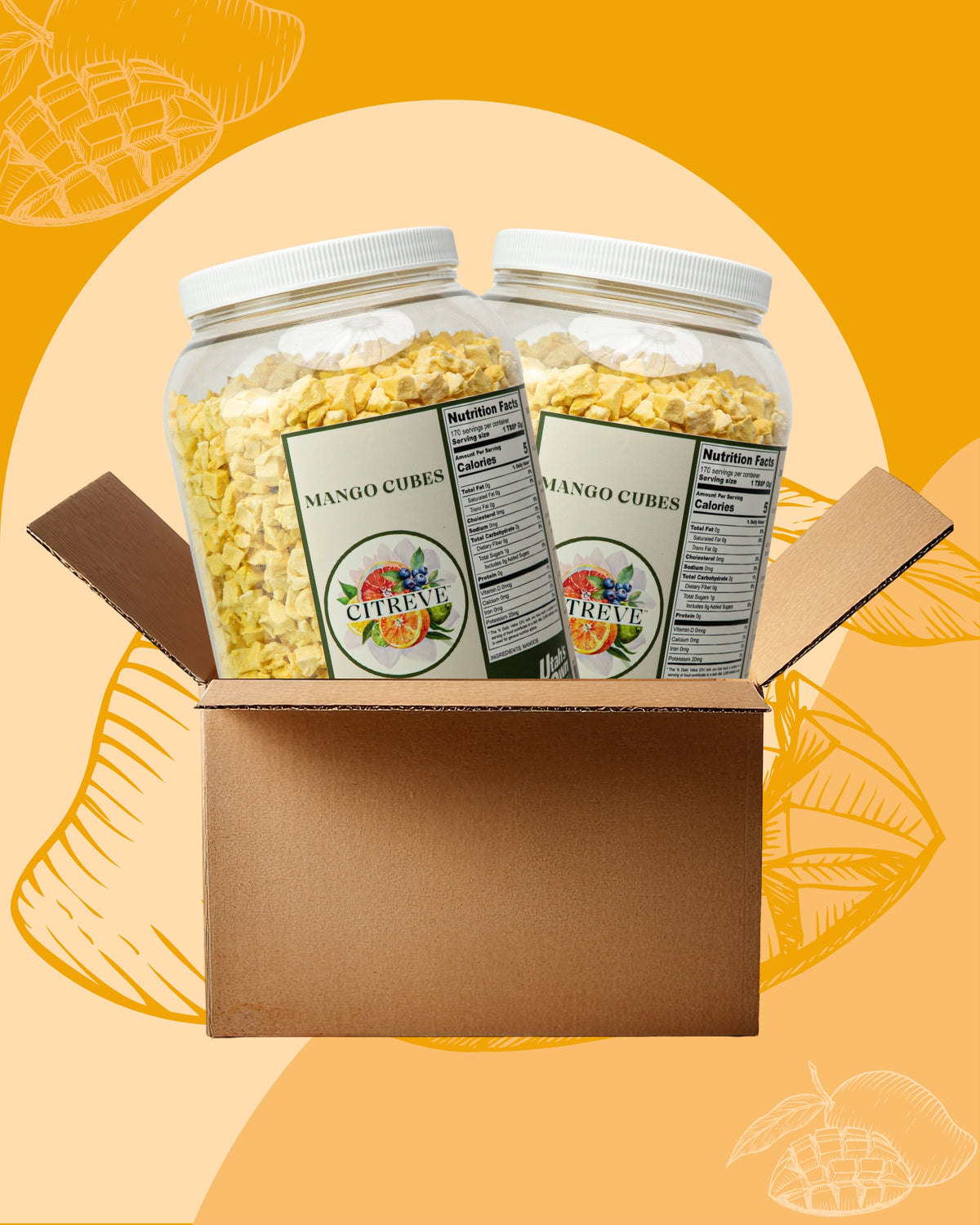 Bulk Case - Freeze Dried Mango Cubes