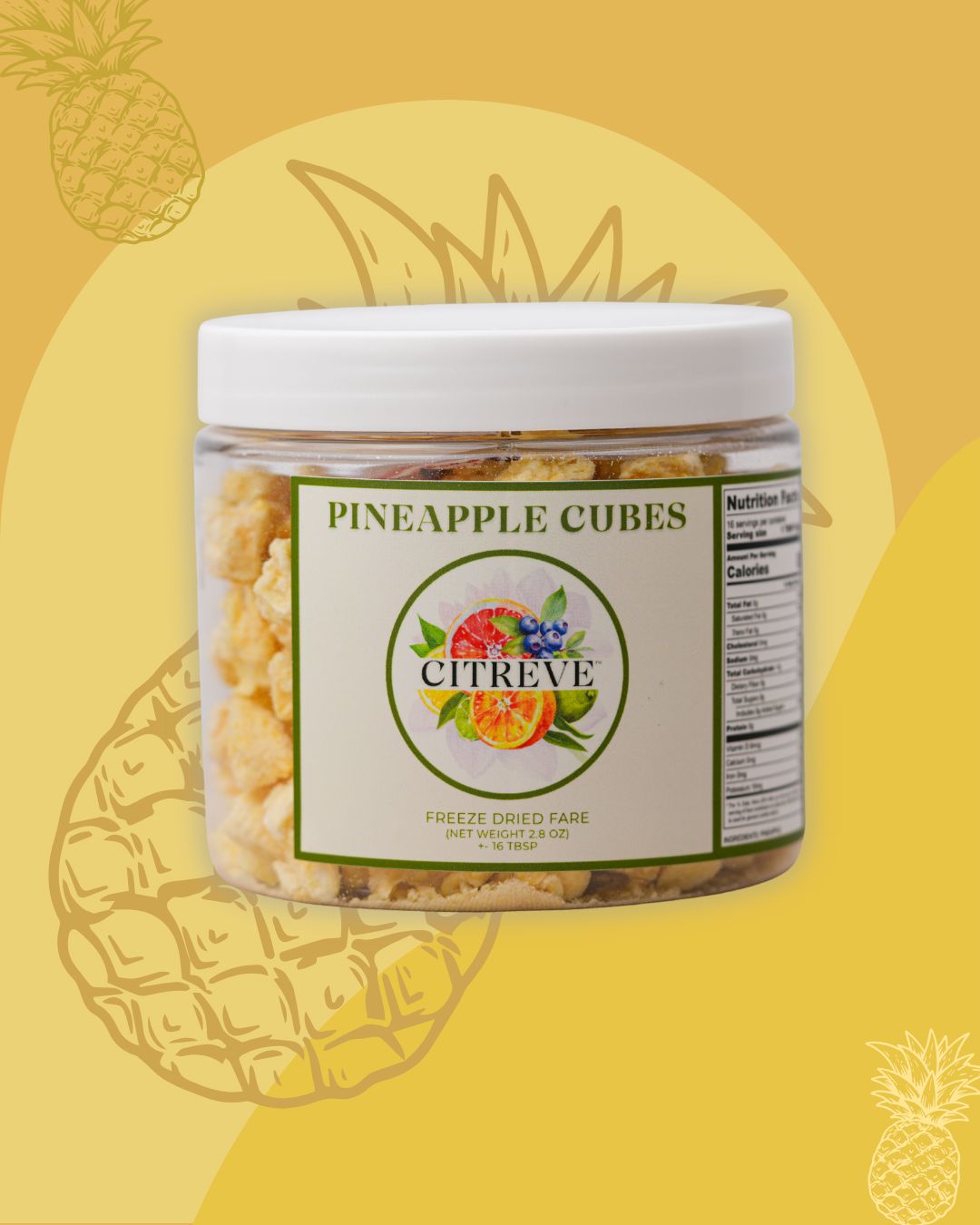 Tasting Case - Freeze Dried Pineapple Cubes