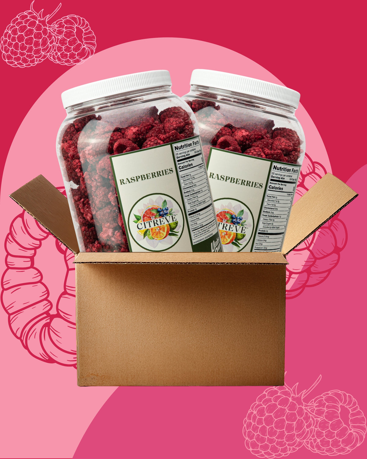 Bulk Case - Freeze Dried Raspberries