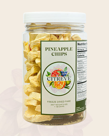 Case- Freeze Dried Pineapple Chips