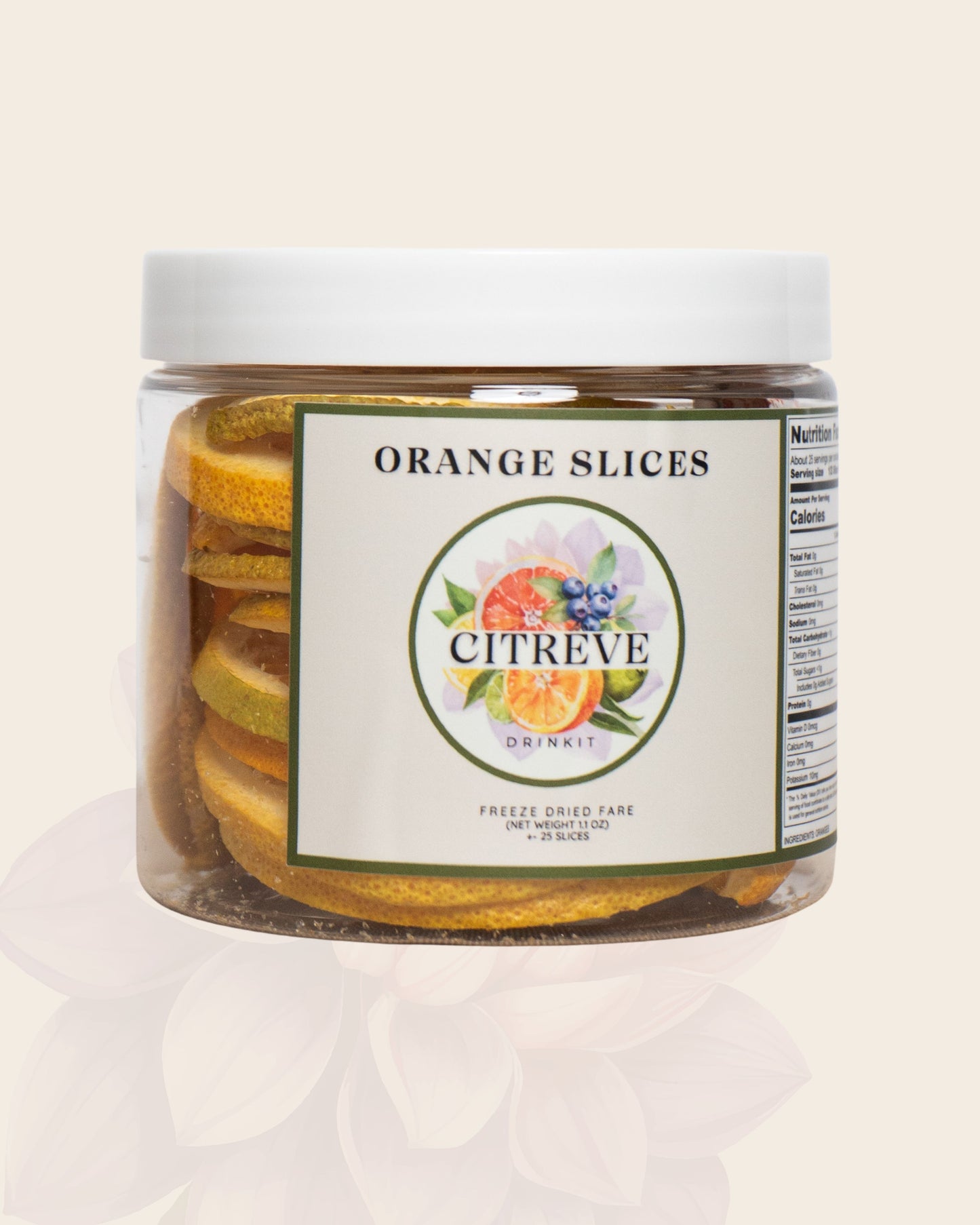 Tasting Size - Freeze-Dried Orange Slices