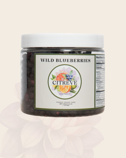 Tasting Size - Freeze-Dried Wild Blueberries