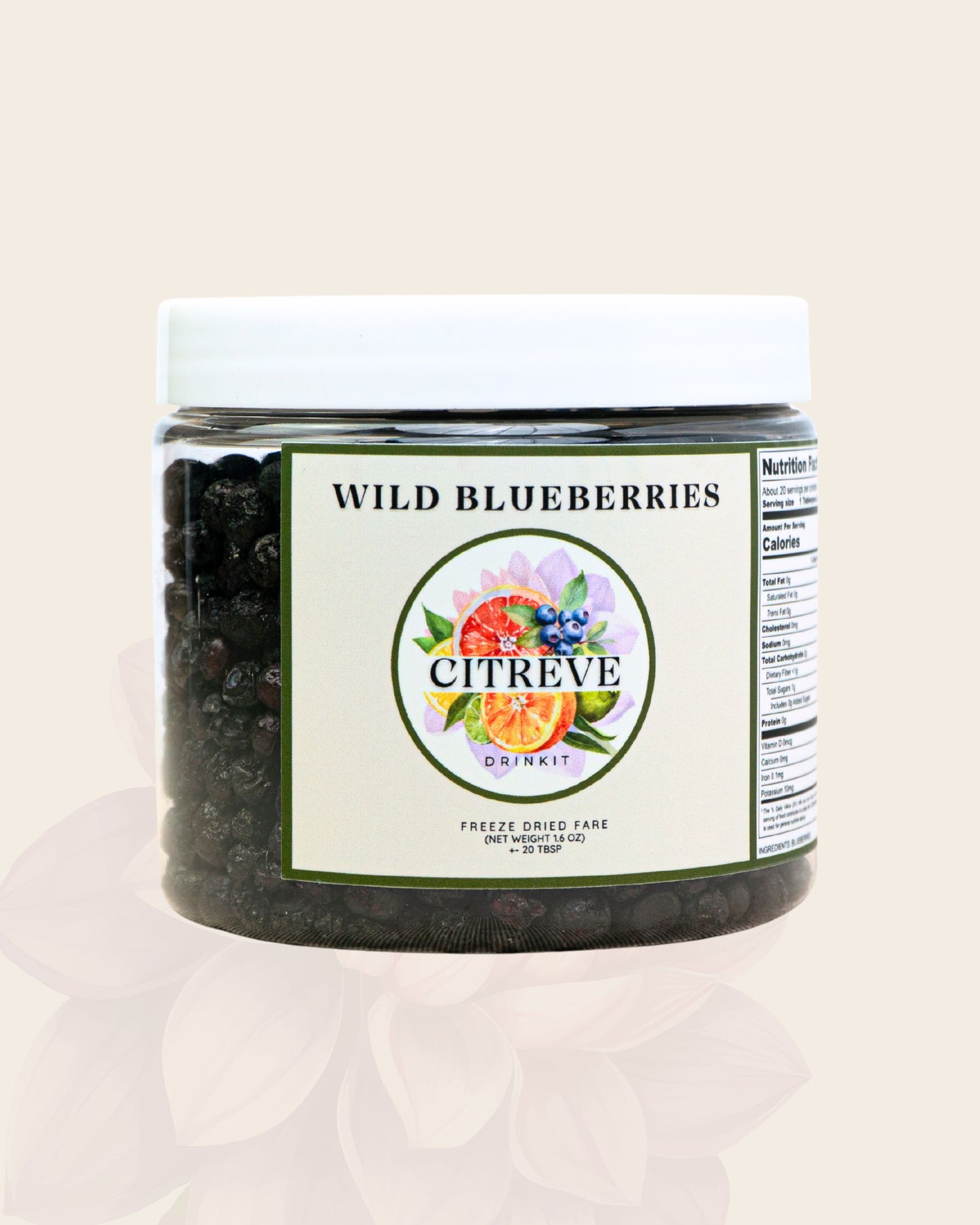Tasting Size - Freeze-Dried Wild Blueberries
