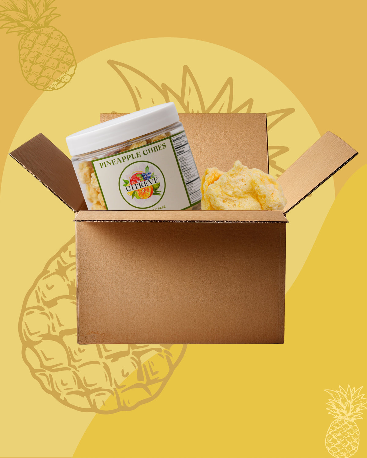 Tasting Case - Freeze Dried Pineapple Cubes