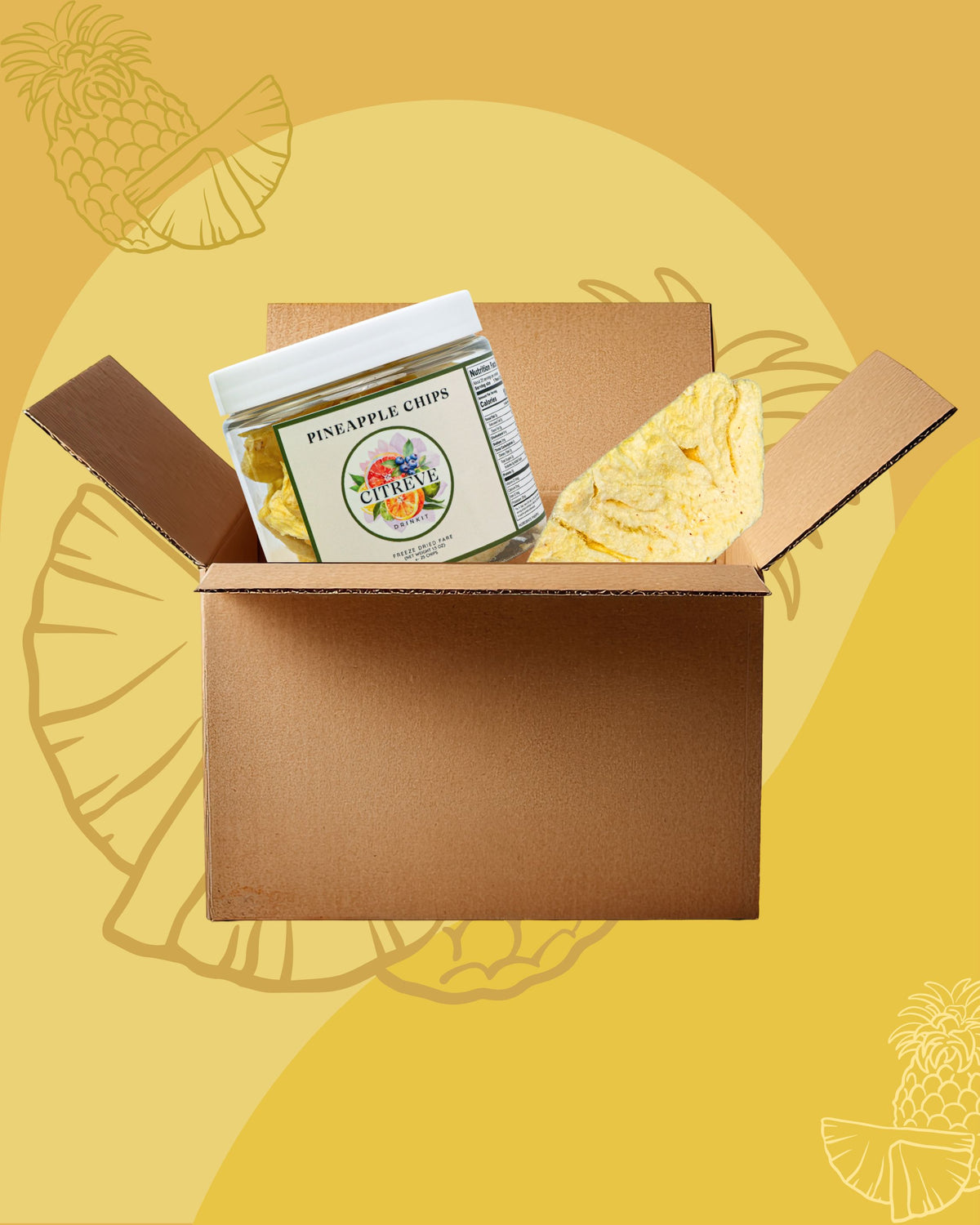 Tasting Case - Freeze Dried Pineapple Chips
