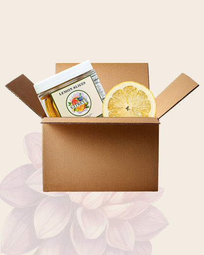 Tasting Case - Freeze-Dried Lemon Slices