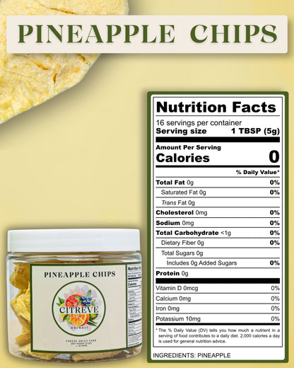 Tasting Size- Freeze-Dried Pineapple Chips