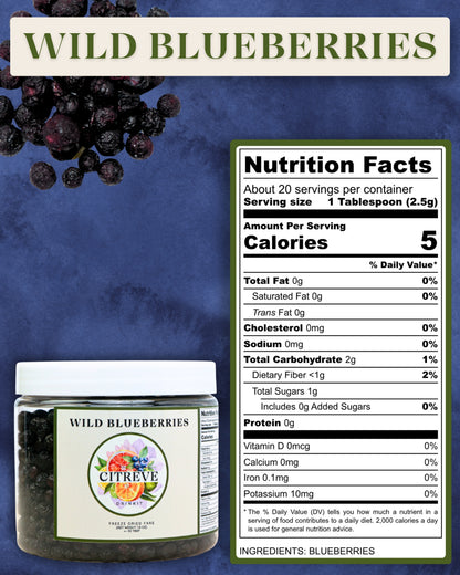 Tasting Size - Freeze-Dried Wild Blueberries