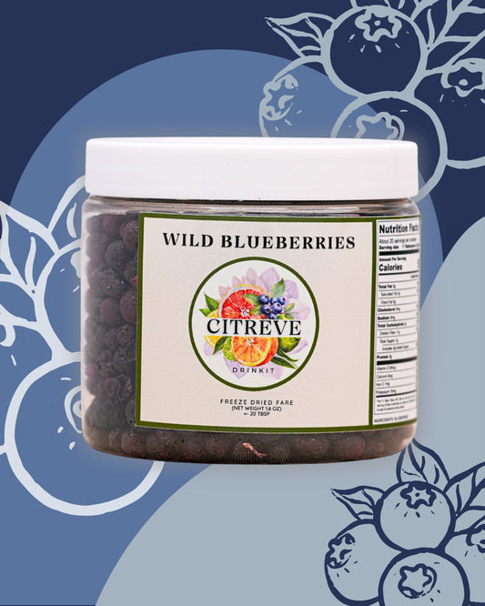 Tasting Size - Freeze-Dried Wild Blueberries