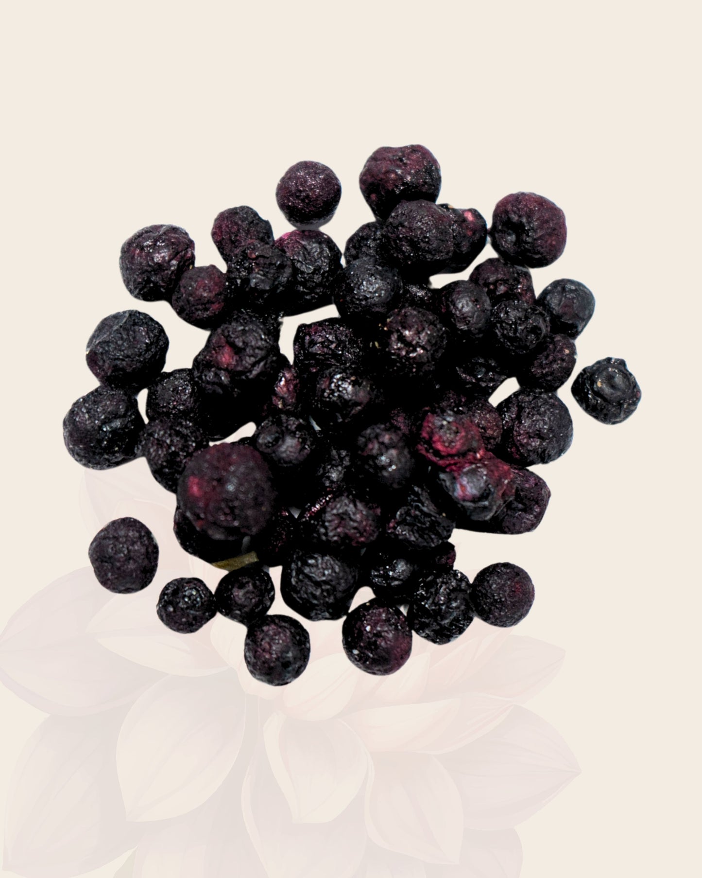 Tasting Size - Freeze-Dried Wild Blueberries