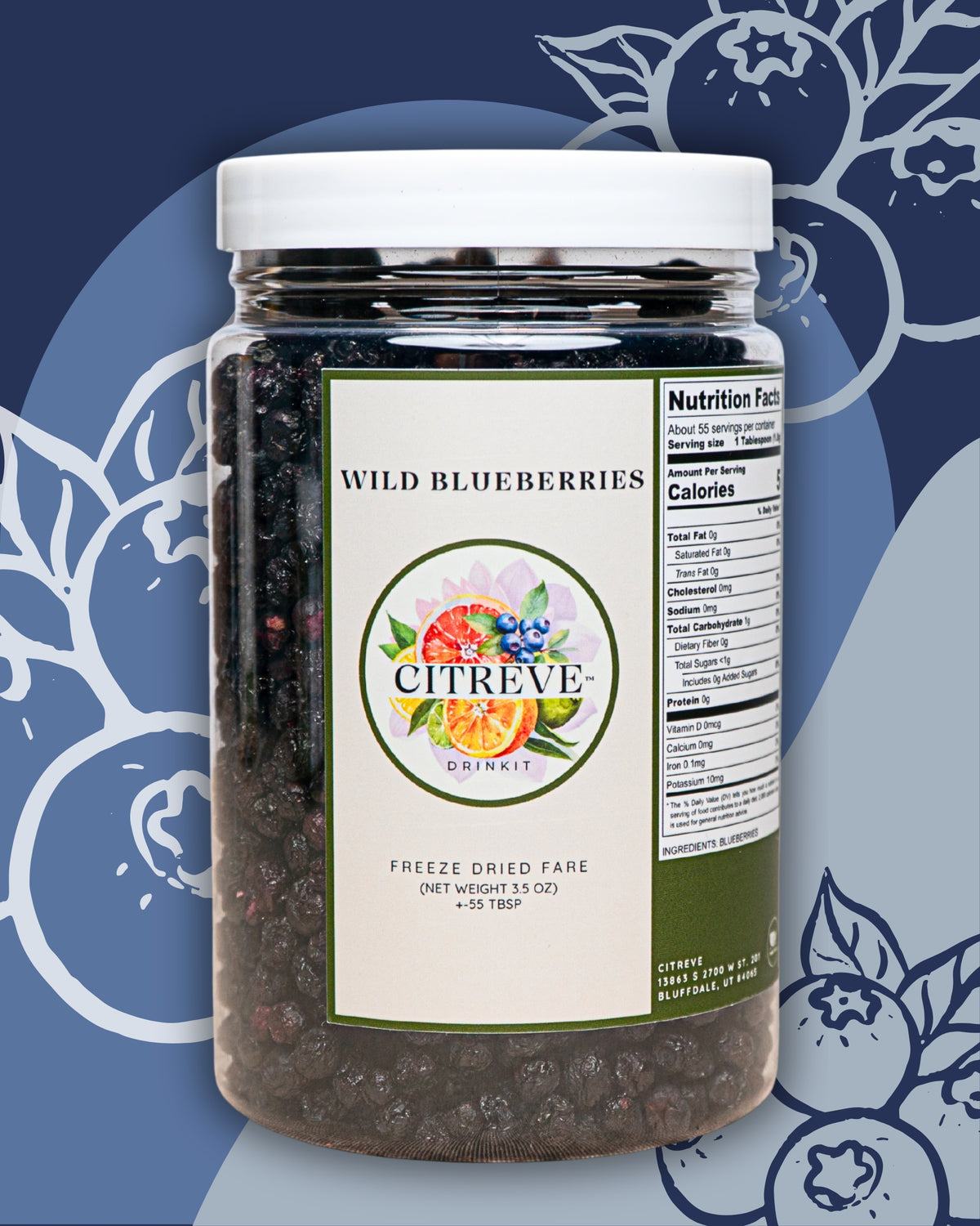 Case- Freeze Dried Wild Blueberries