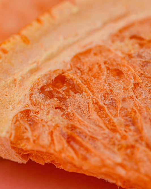 Freeze-Dried Grapefruit Slice