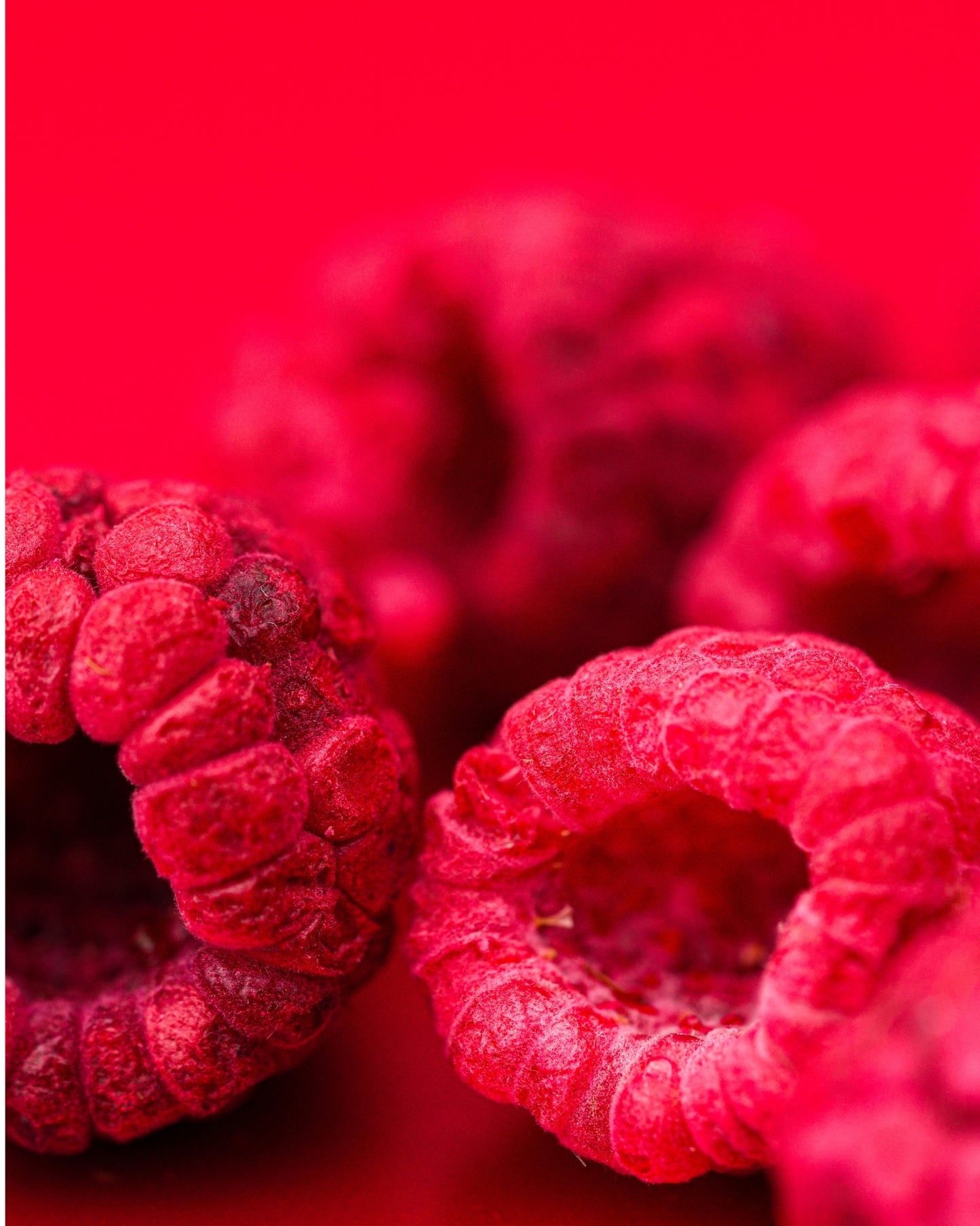 Freeze Dried Raspberries