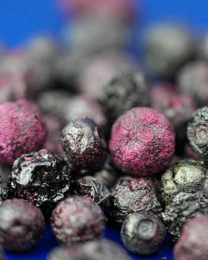 Tasting Size - Freeze-Dried Wild Blueberries