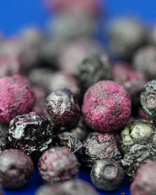 Freeze-Dried Wild Blueberries